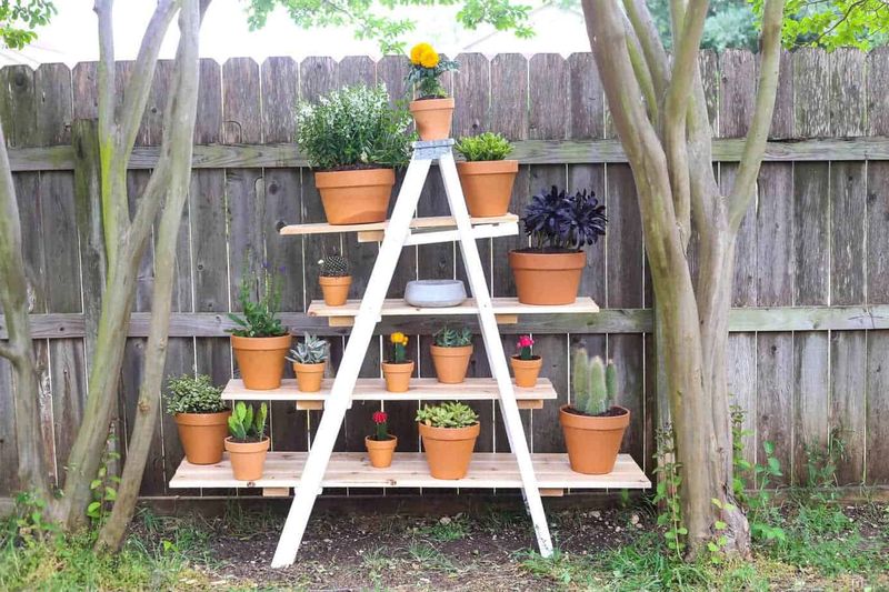 Ladder Shelf Gardens For Mixed Planting