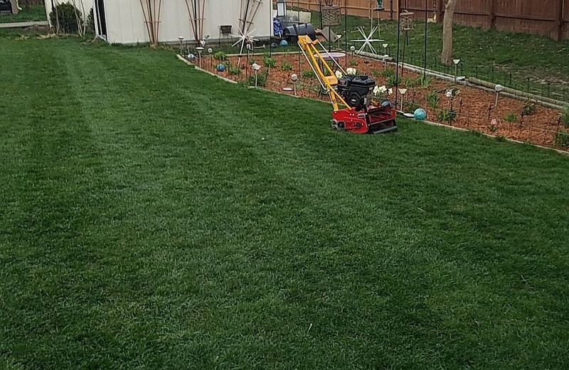 Gradual Lowering Avoids Shocking Your Lawn