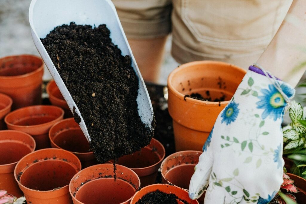 Should Colorado Gardeners Toss Old Potting Soil In Fall Or Save It For ...