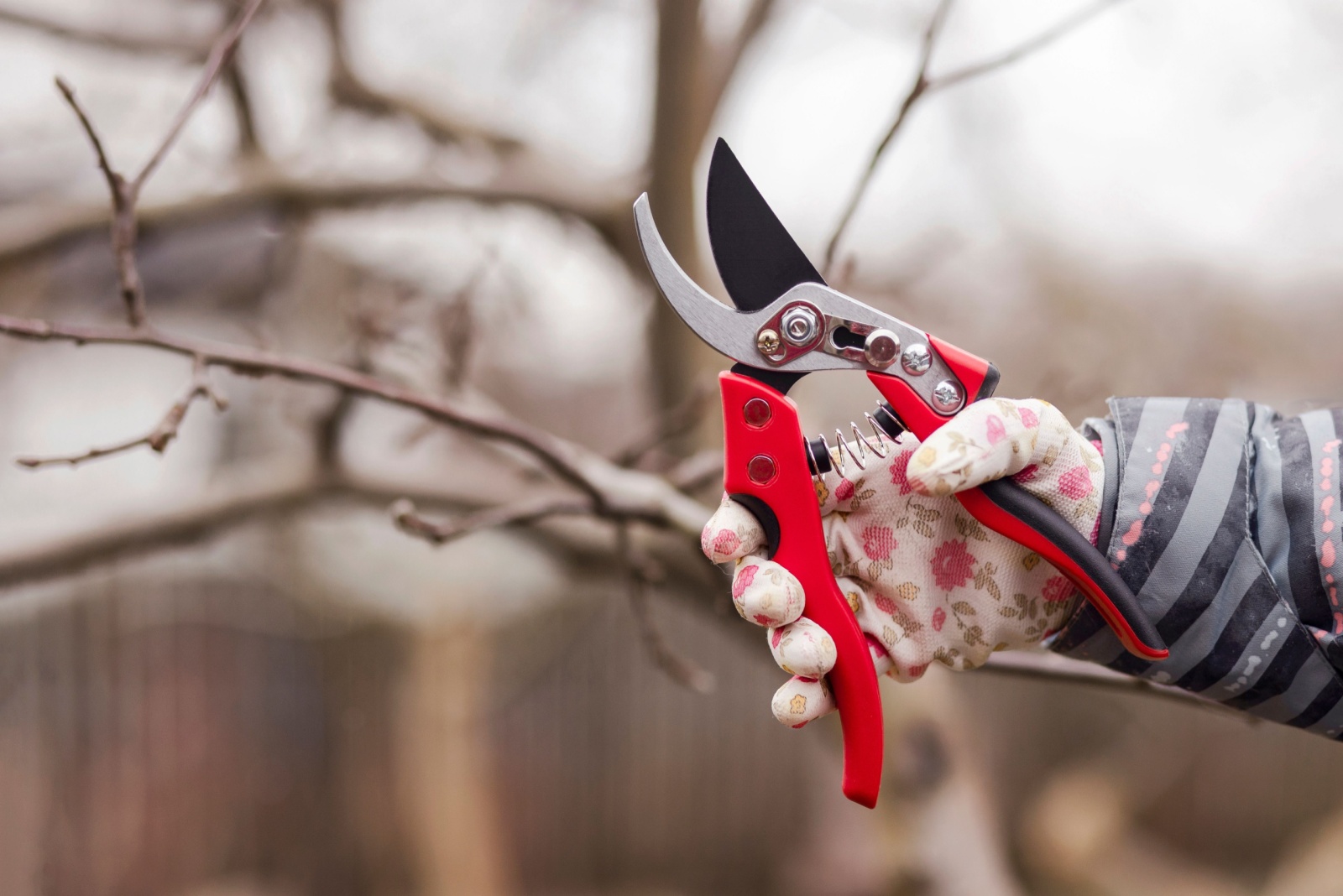 Simple Garden Shear Sharpening Method For Texas Homeowners