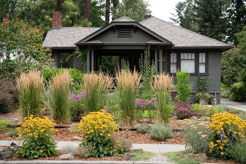 Water Conservation Through Smart Plant Choices