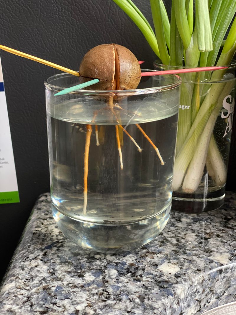 #1 Start With A Fresh Pit