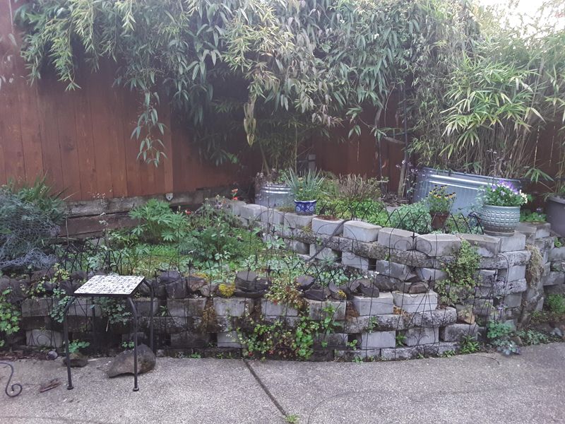 Leave Some Messy Spots Untouched