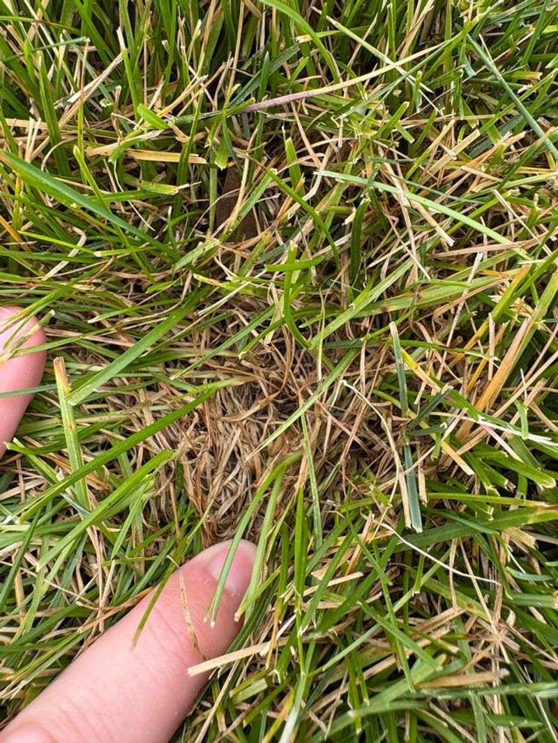 Overwatering as Temperatures Drop