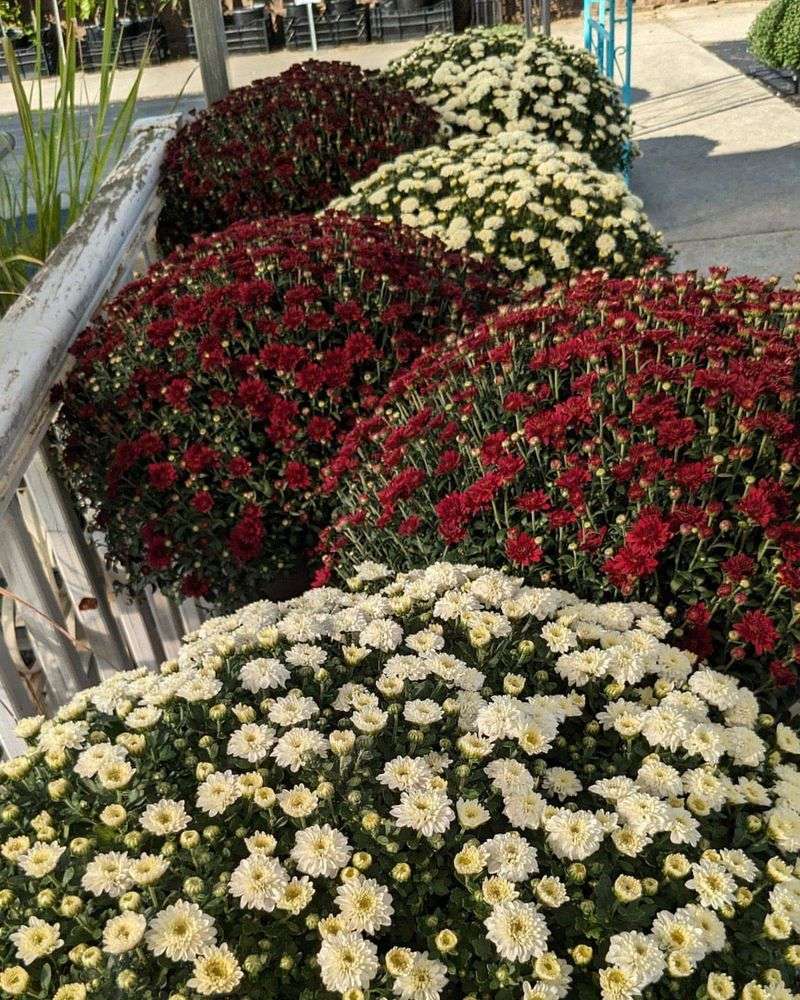 Paying Too Much at Big Box Stores