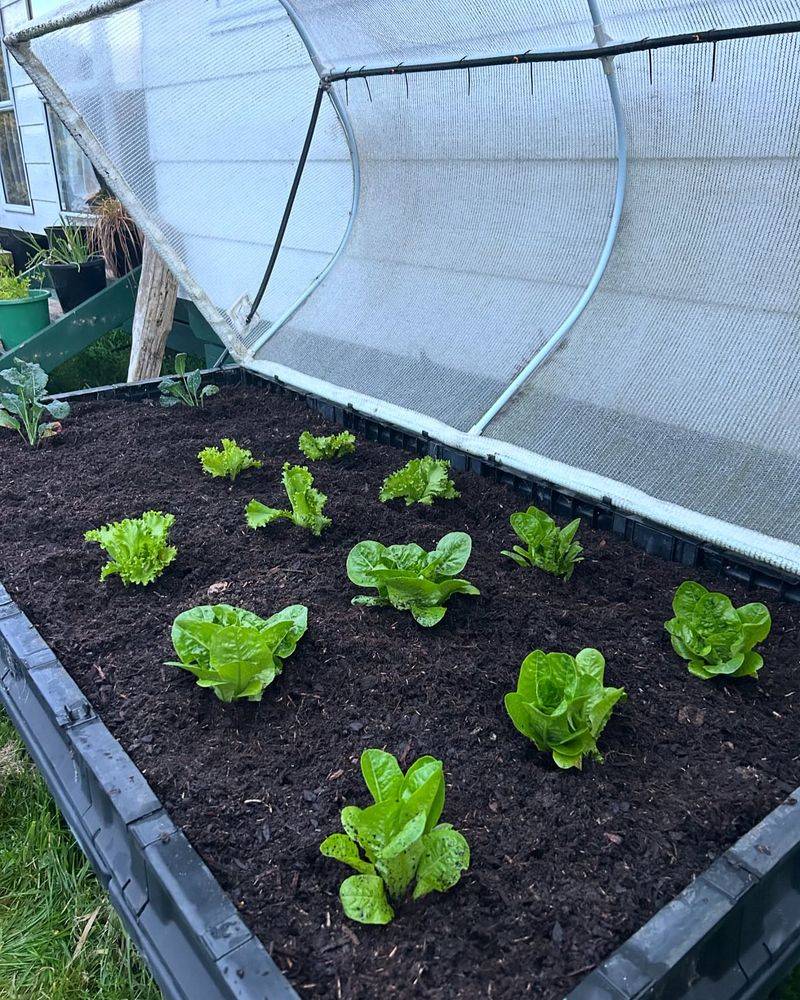 Less Water Evaporation Saves Resources