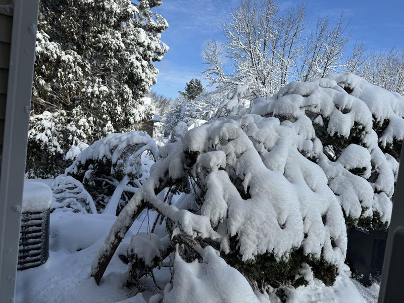 Shake Off Snow After Each Storm