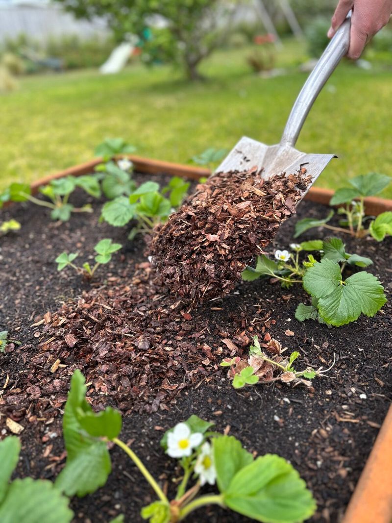 Nutrient Enrichment As Mulch Breaks Down