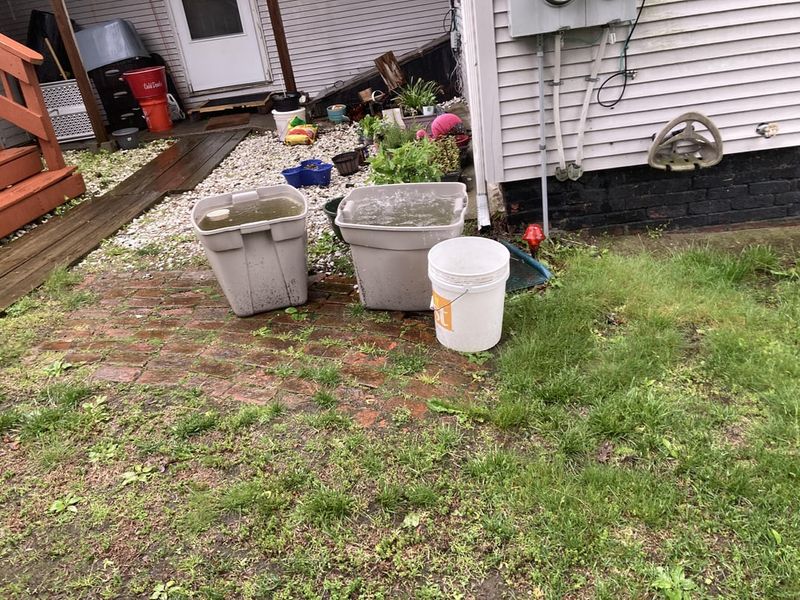 Standing Water Creating Mosquito Breeding Grounds