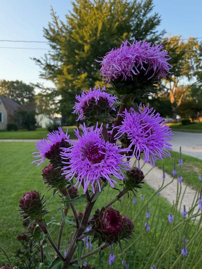 Cost-Effective Long-Term Investment