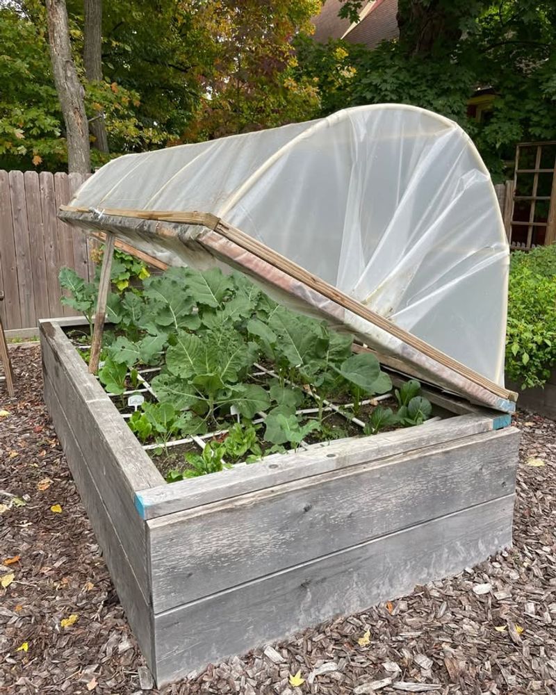 Protecting Sensitive Plants From Sudden Downpours