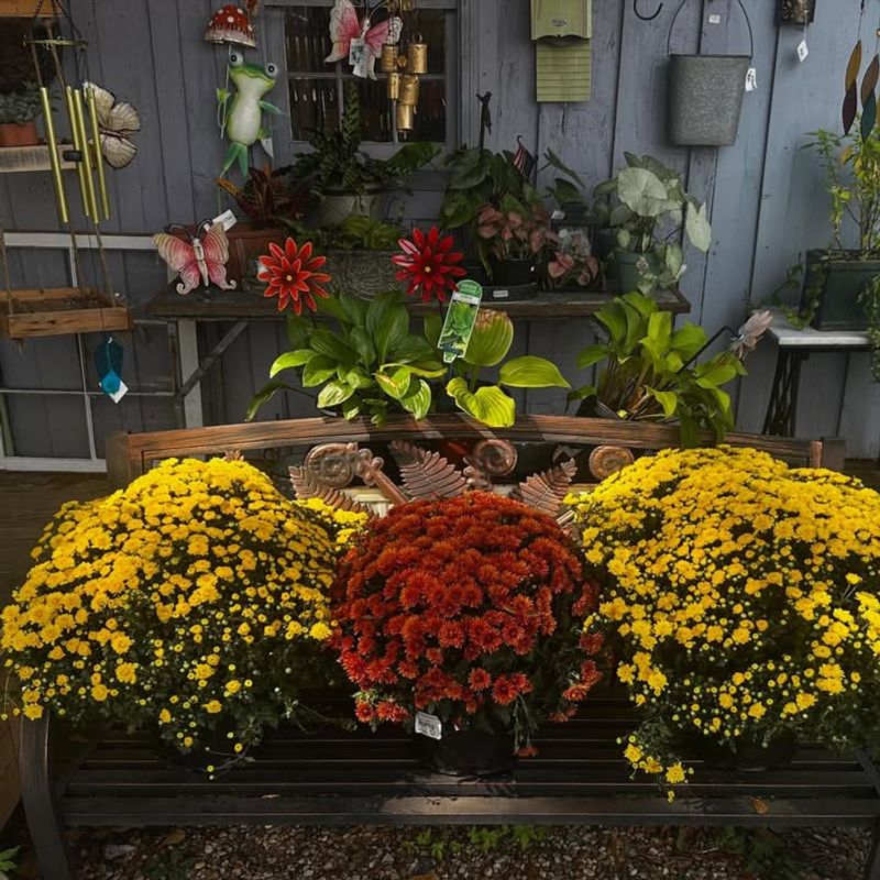 Humidity Levels Impact Freshness