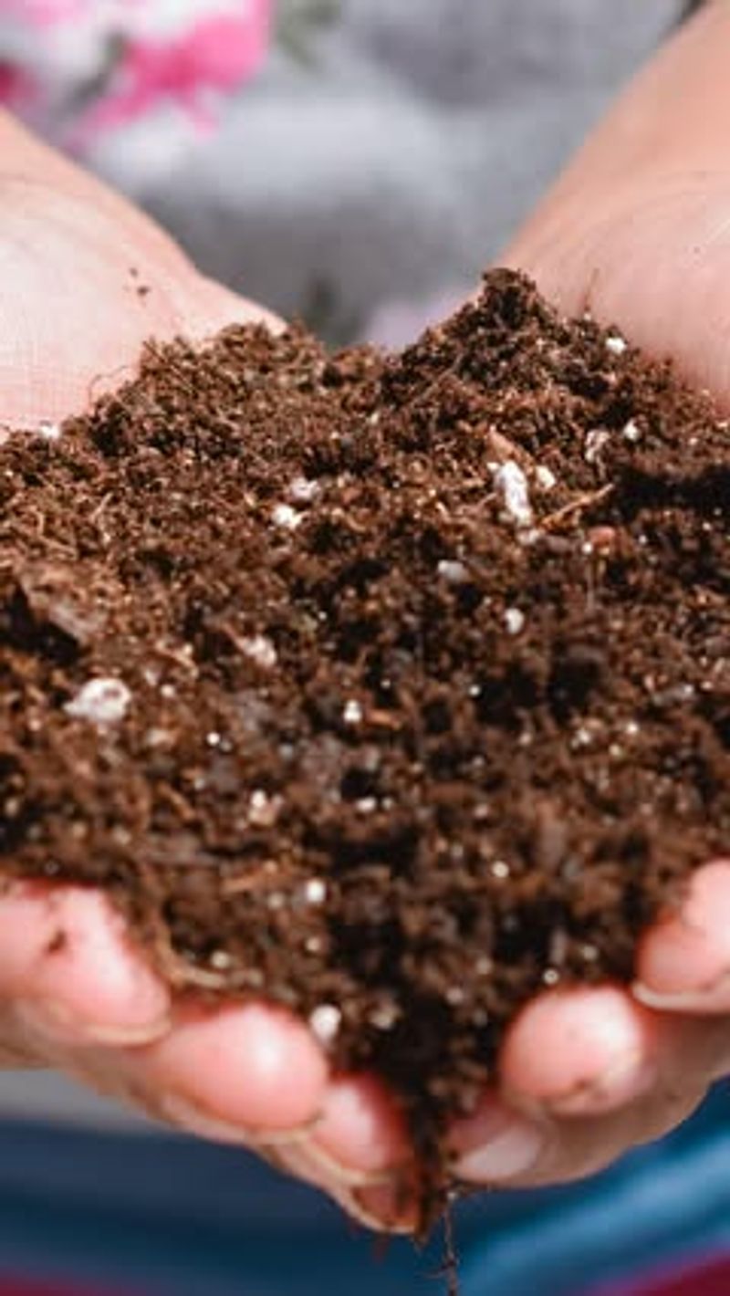 Nutrients Stabilize At Perfect Levels