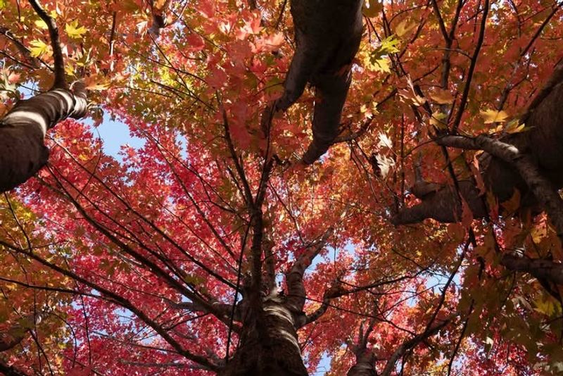 Reduced Stress From Pests And Disease This Year