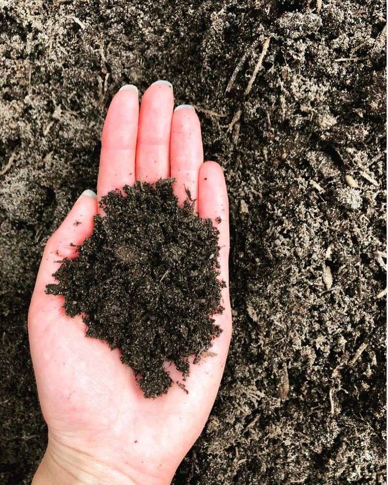 Organic Matter Gradually Influences PH