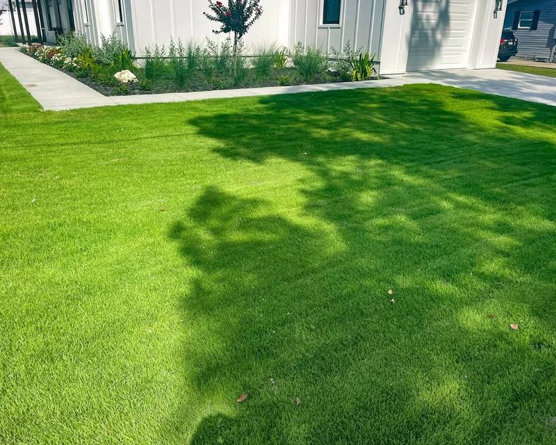 Environmentally Friendly Options Protect Florida Waterways