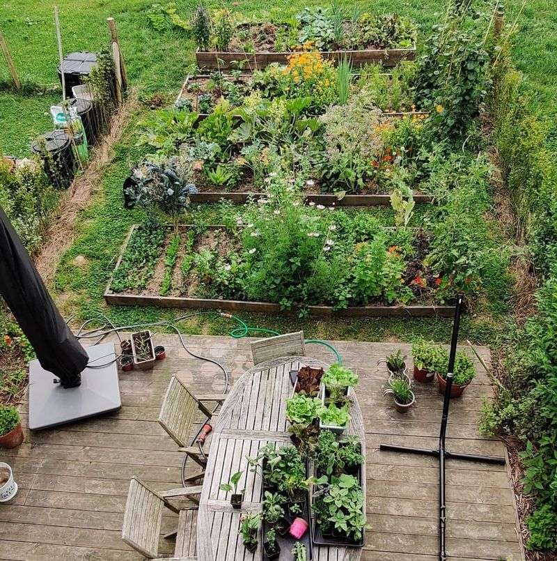 Mapping Out Garden Beds