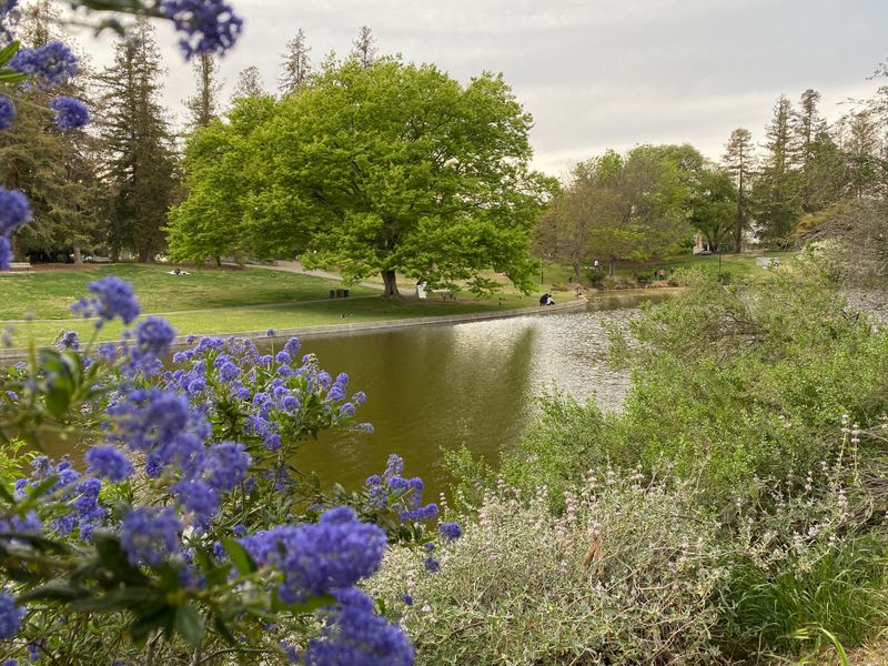 UC Davis Arboretum And Public Garden