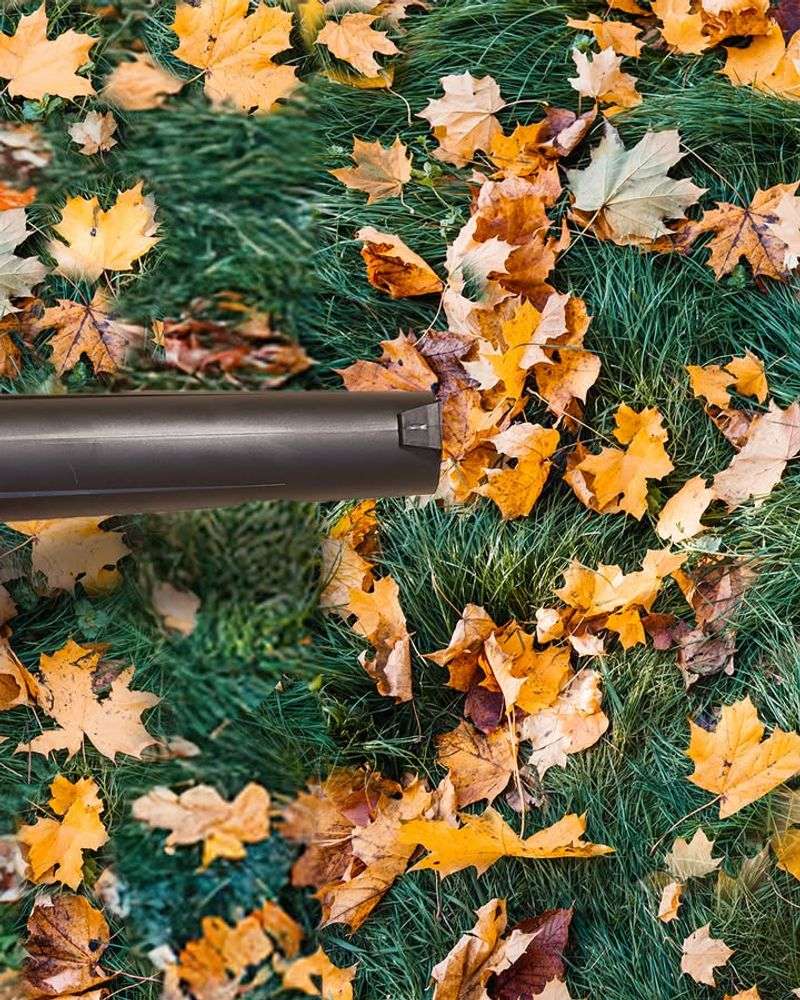 Makes Fall Cleanup Much Easier