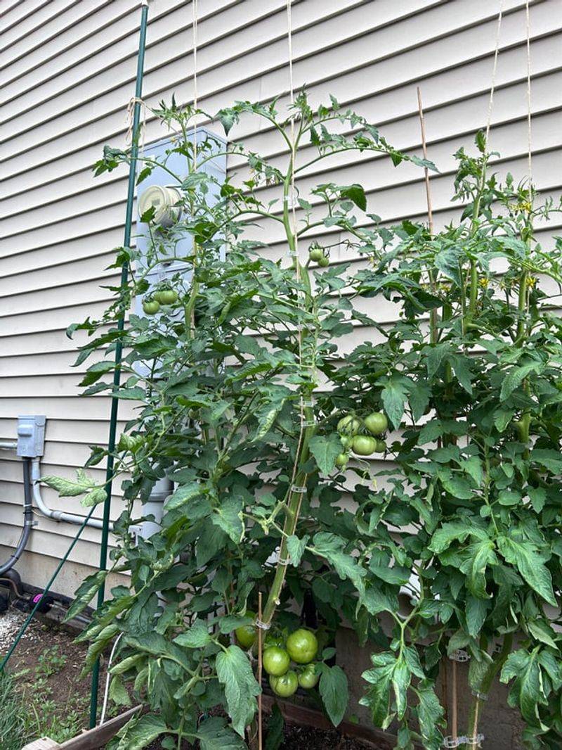 Wind-Exposed Open Fields