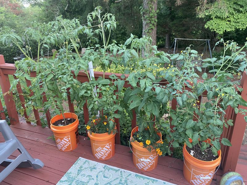 Against North-Facing Walls