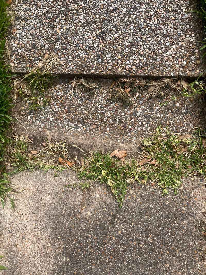 Apply Pre-Emergent Herbicide Seasonally