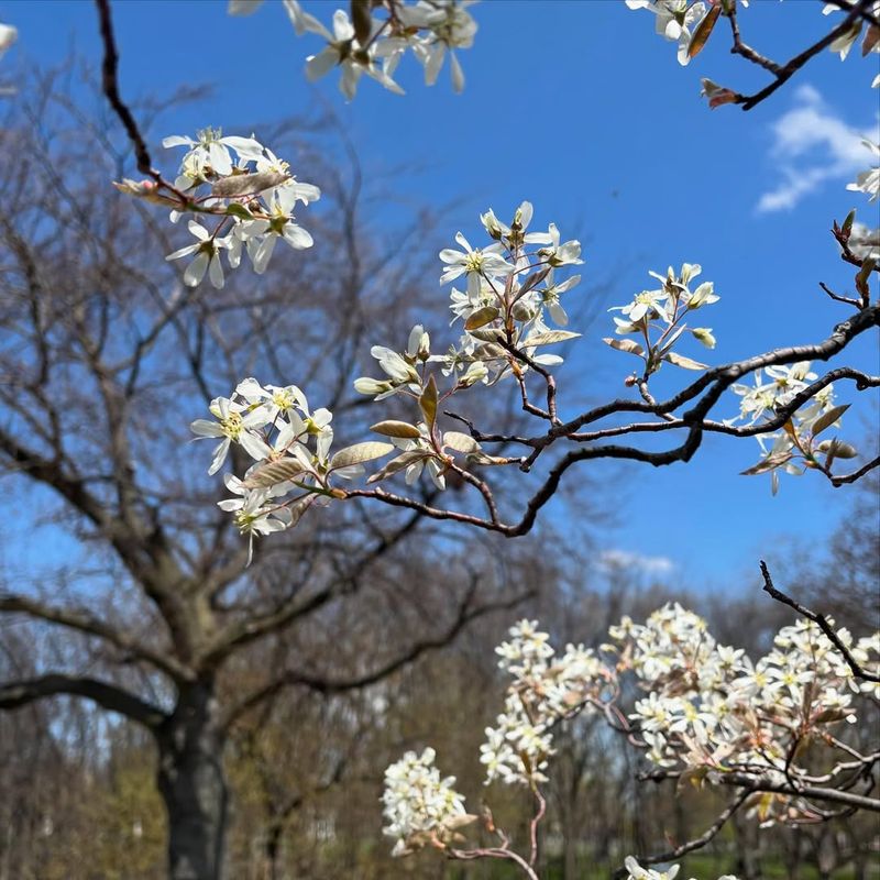 Four-Season Interest Keeps Birds Visiting