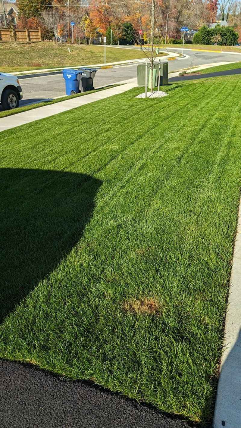 Healthier Roots Develop Underground