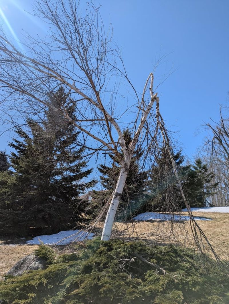 Weather Damage Assessment Happens First