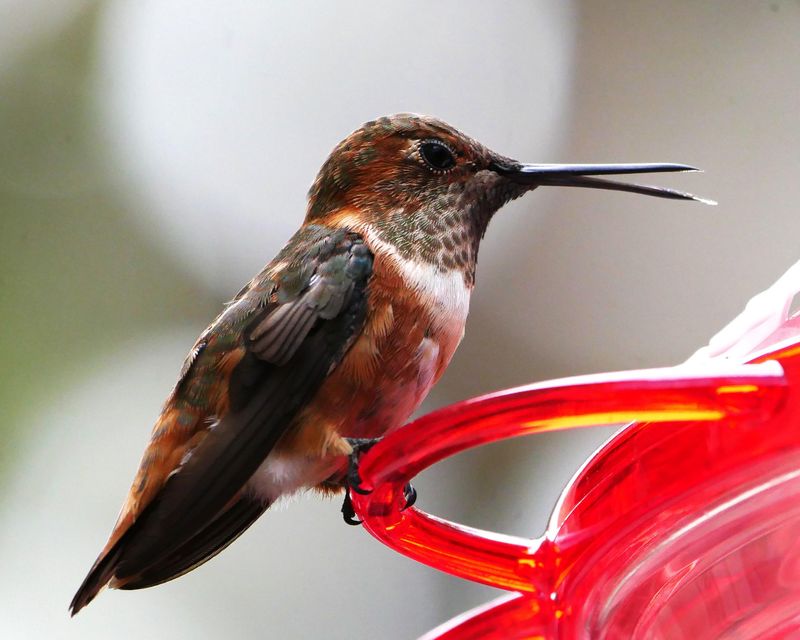 Document Your Last Sighting For Future Reference