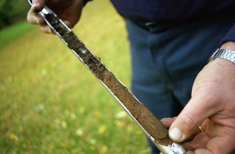 Soil Testing Reveals What Your Lawn Really Needs