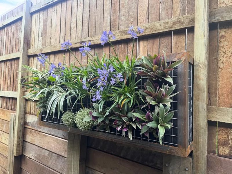 Gutter Garden Systems Along Fences