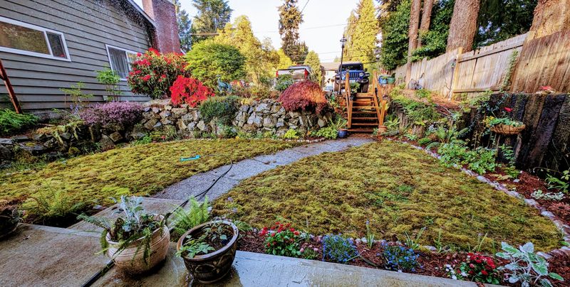 Increases Property Value With Unique Landscaping
