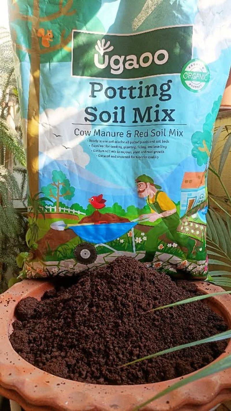 Know When Tossing Makes More Sense Than Saving