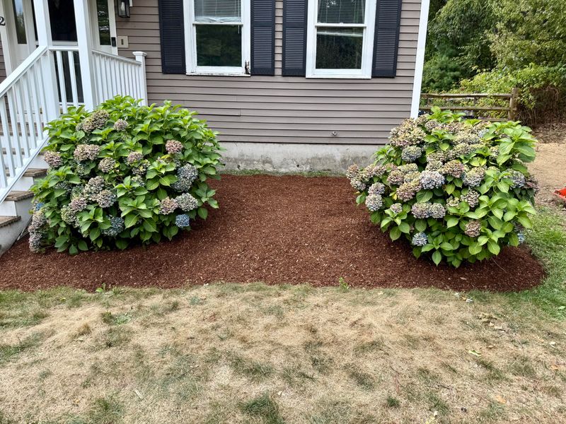 Add A Thick Layer Of Mulch Around The Base