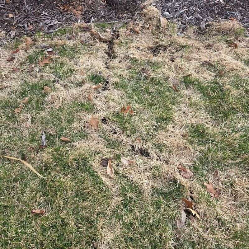 Reduces Pest Hideouts During Cold Months