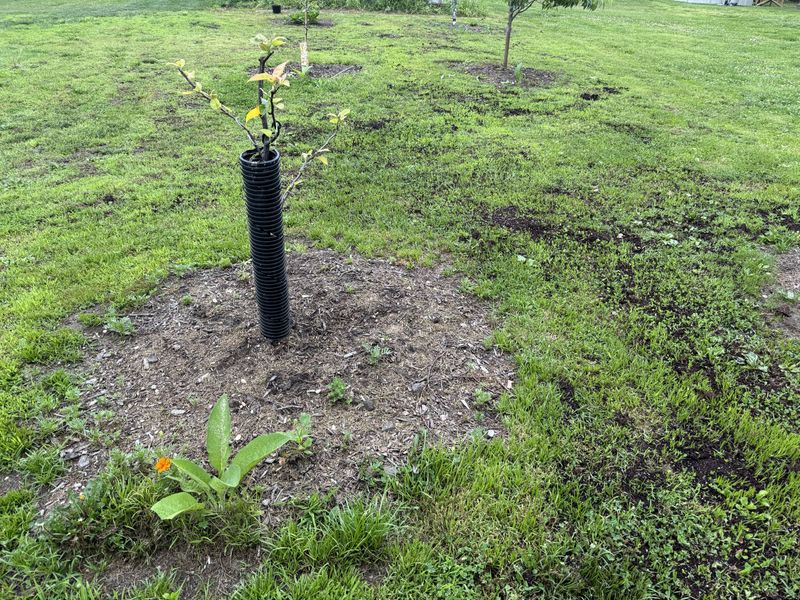 Builds Better Soil Structure Over Time