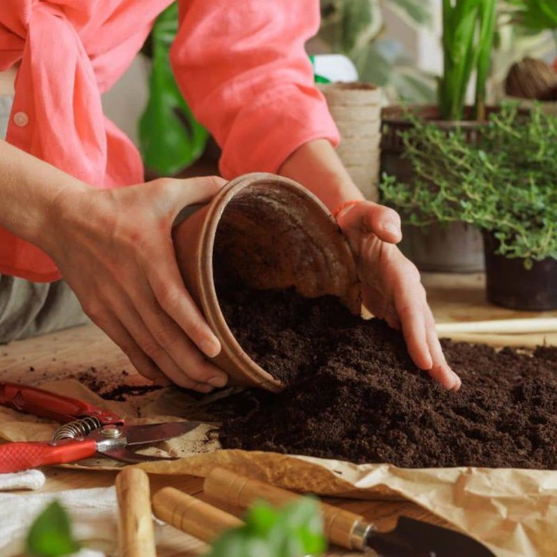Sterilize Soil If You're Worried About Pathogens