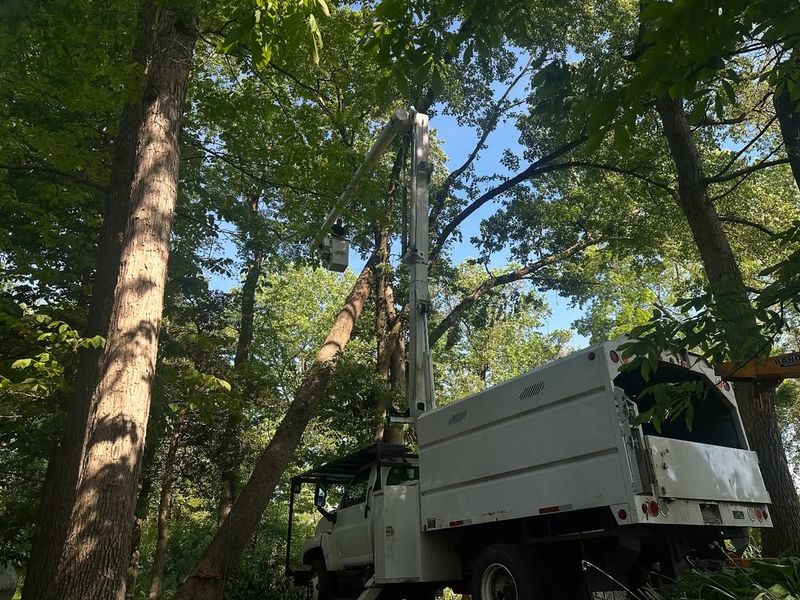 Homeowners Insurance Handles Most Cleanup Costs