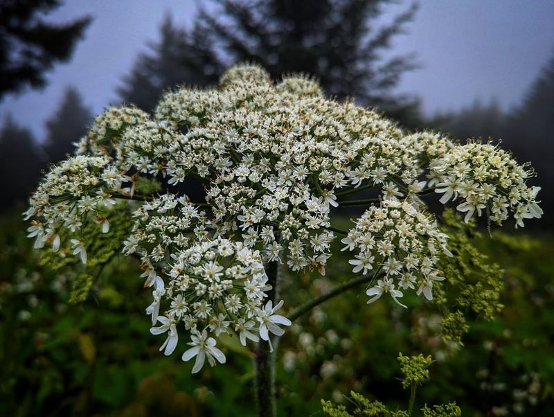 Lack Of Public Awareness About Identification