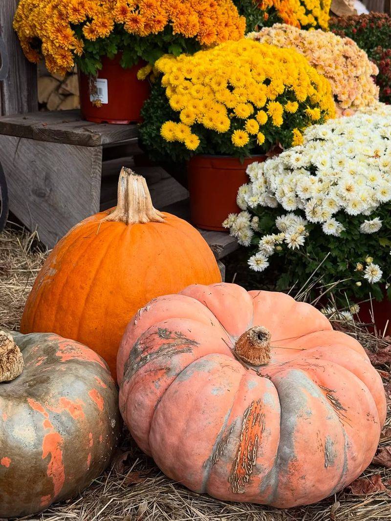 Long-Lasting Protection Through Fall Season