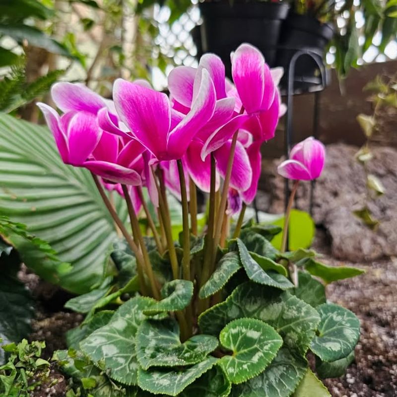 Better Adaptation To Your Home Environment