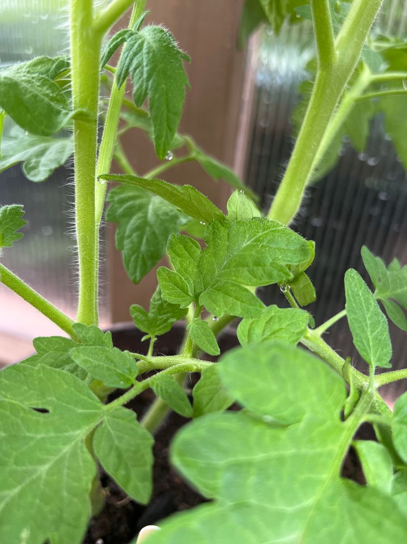 Moisture Evaporates Properly