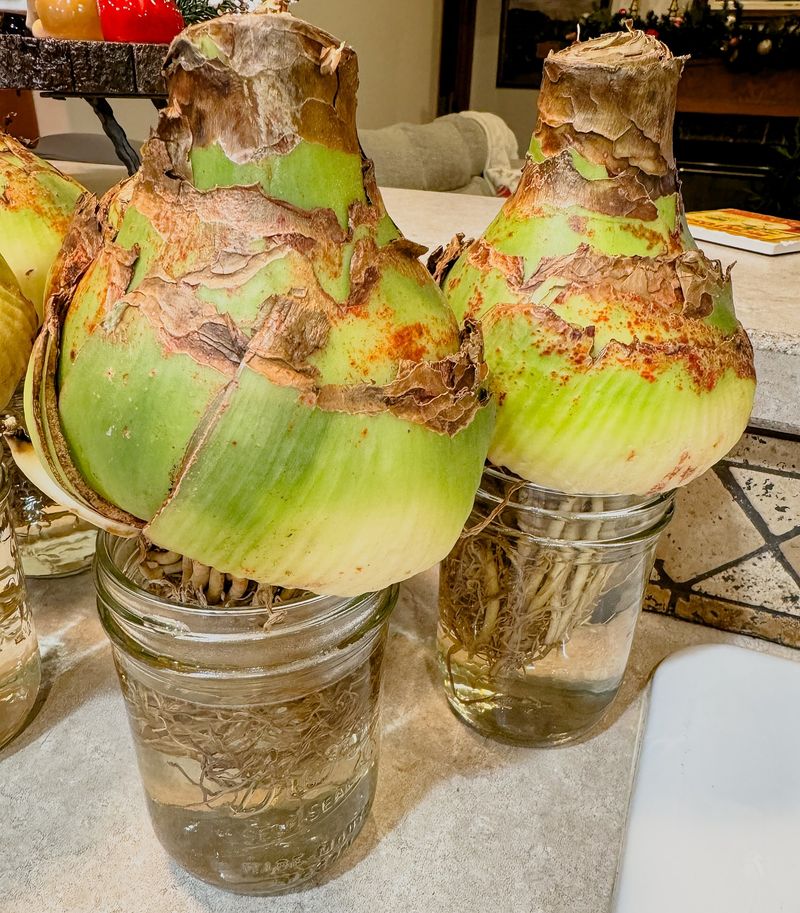 Easier to Spot Problems Early