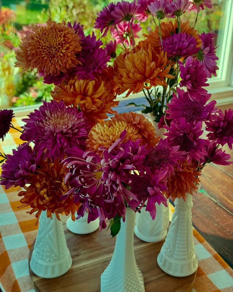 Chrysanthemums