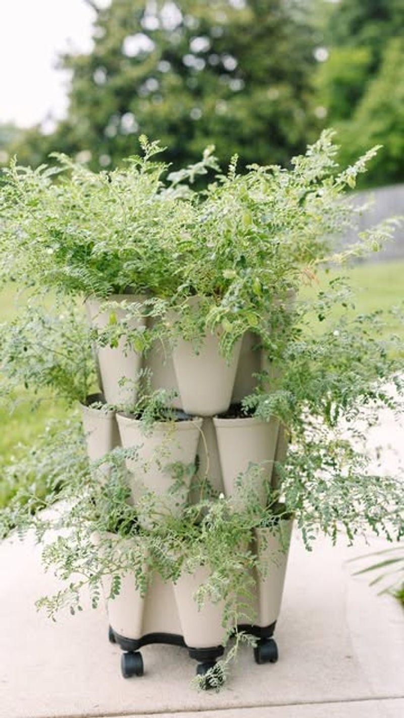 Watch for Common Indoor Pests