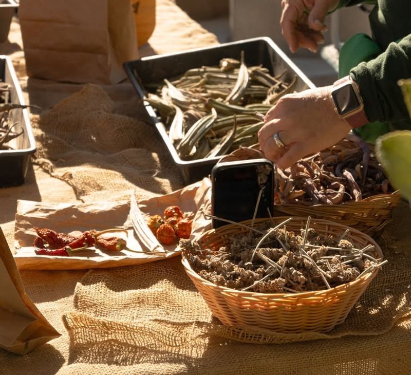 Community Connections Through Seed Swaps