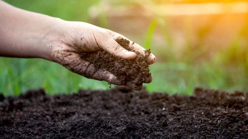 Retains Moisture For Healthier Soil