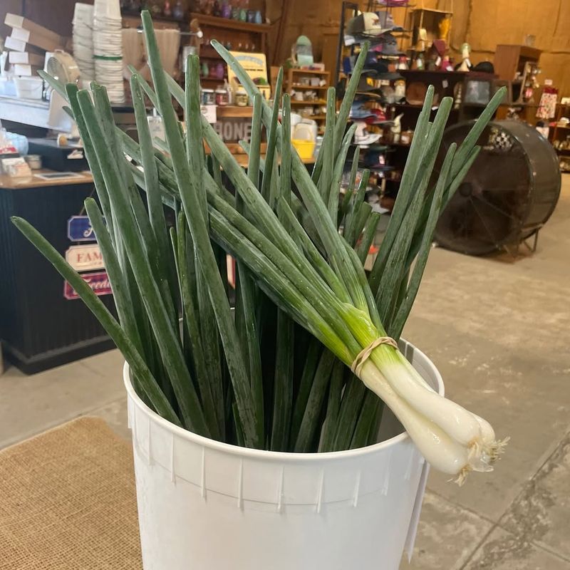 Flavorful Green Onions