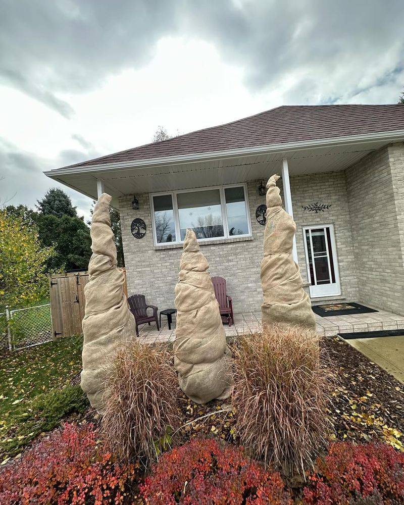 Create Windbreaks Around Plant Areas